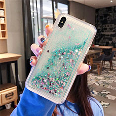 Ultra-thin Transparent Flowers Soft Case Cover T02 for Apple iPhone Xs Max Green