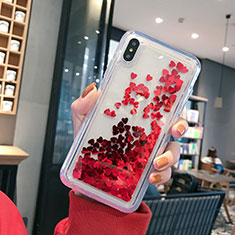 Ultra-thin Transparent Flowers Soft Case Cover T14 for Apple iPhone X Red