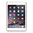 Ultra-thin Transparent TPU Soft Case for Apple iPad Mini Gray