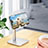 Universal Mobile Phone Stand Smartphone Holder for Desk H01