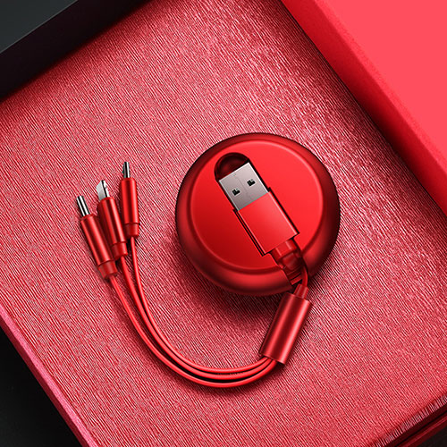 Charger Lightning USB Data Cable Charging Cord and Android Micro USB C09 for Apple iPhone 11 Red