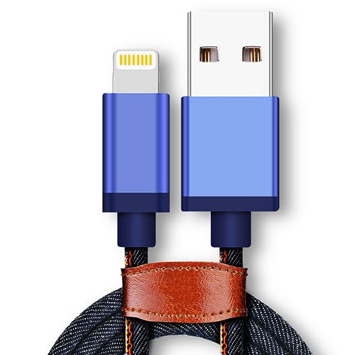 Charger USB Data Cable Charging Cord D01 for Apple iPhone Xs Max Blue