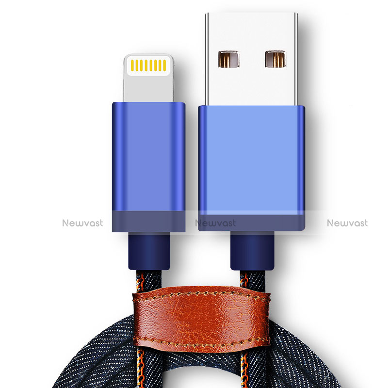 Charger USB Data Cable Charging Cord D01 for Apple iPad Air Blue