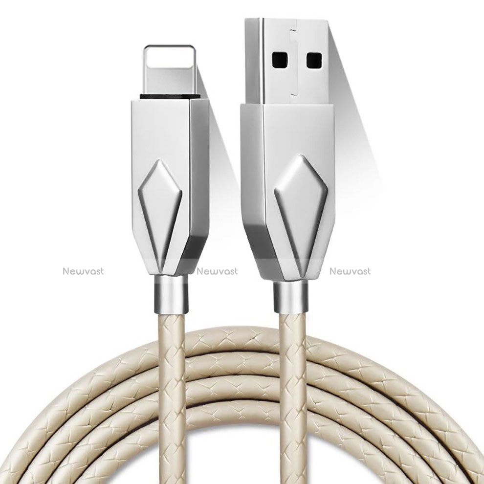 Charger USB Data Cable Charging Cord D13 for Apple iPhone Xs Max Silver