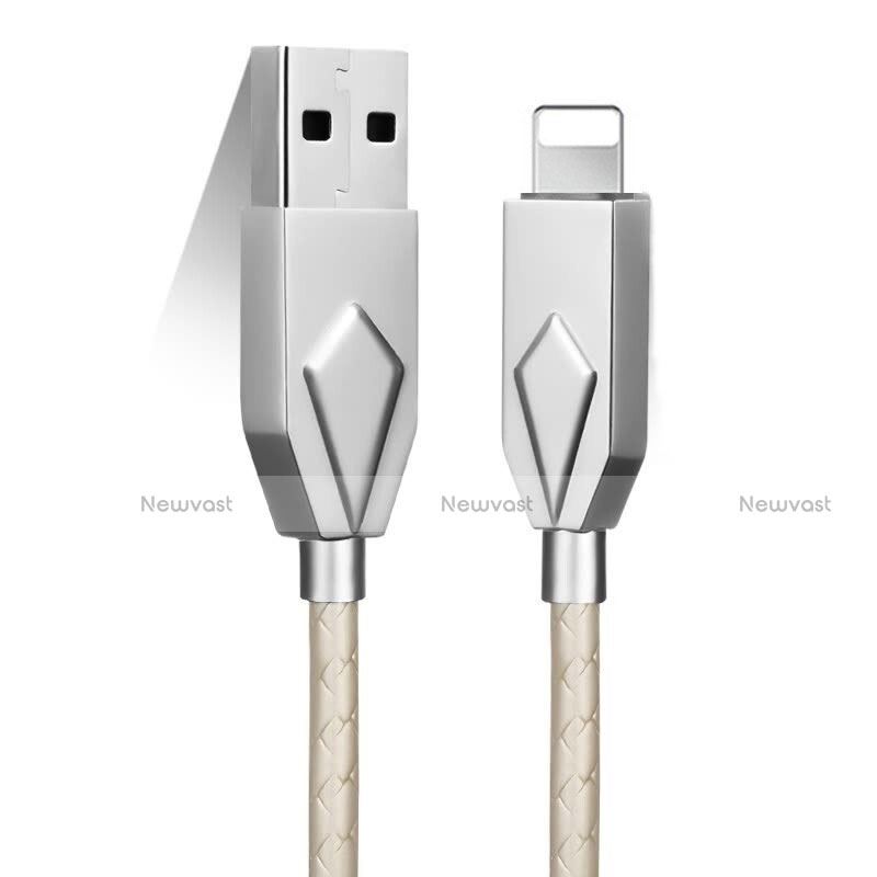 Charger USB Data Cable Charging Cord D13 for Apple iPhone Xs Silver