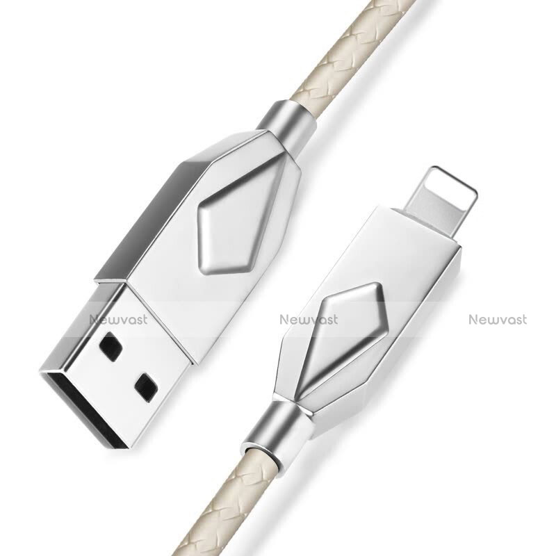 Charger USB Data Cable Charging Cord D13 for Apple iPhone Xs Silver