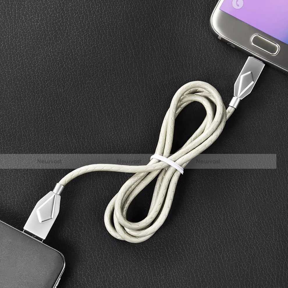 Charger USB Data Cable Charging Cord D13 for Apple iPhone Xs Silver