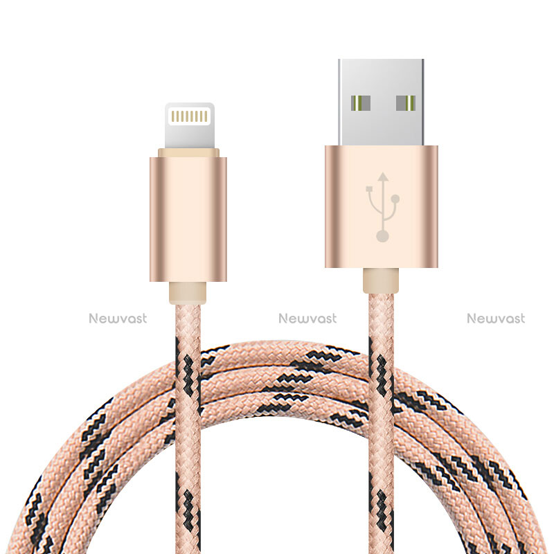Charger USB Data Cable Charging Cord L10 for Apple iPad Pro 12.9 (2020) Gold