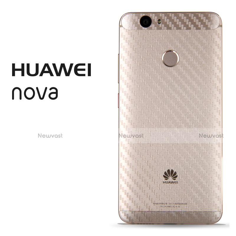 Film Back Protector B02 for Huawei Nova Clear