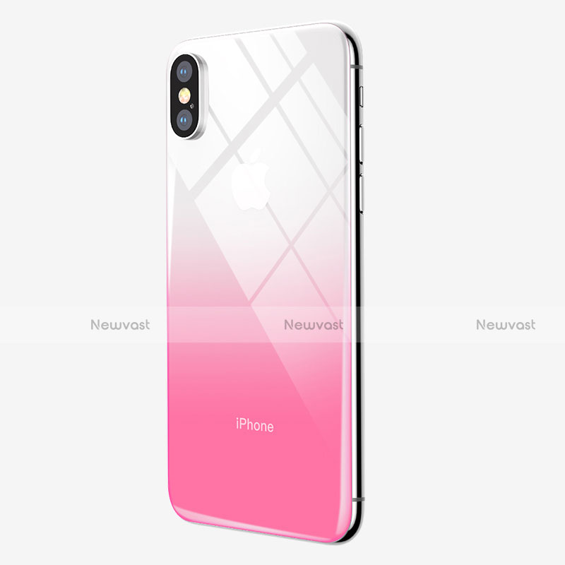 Film Back Protector Gradient for Apple iPhone Xs Max Pink