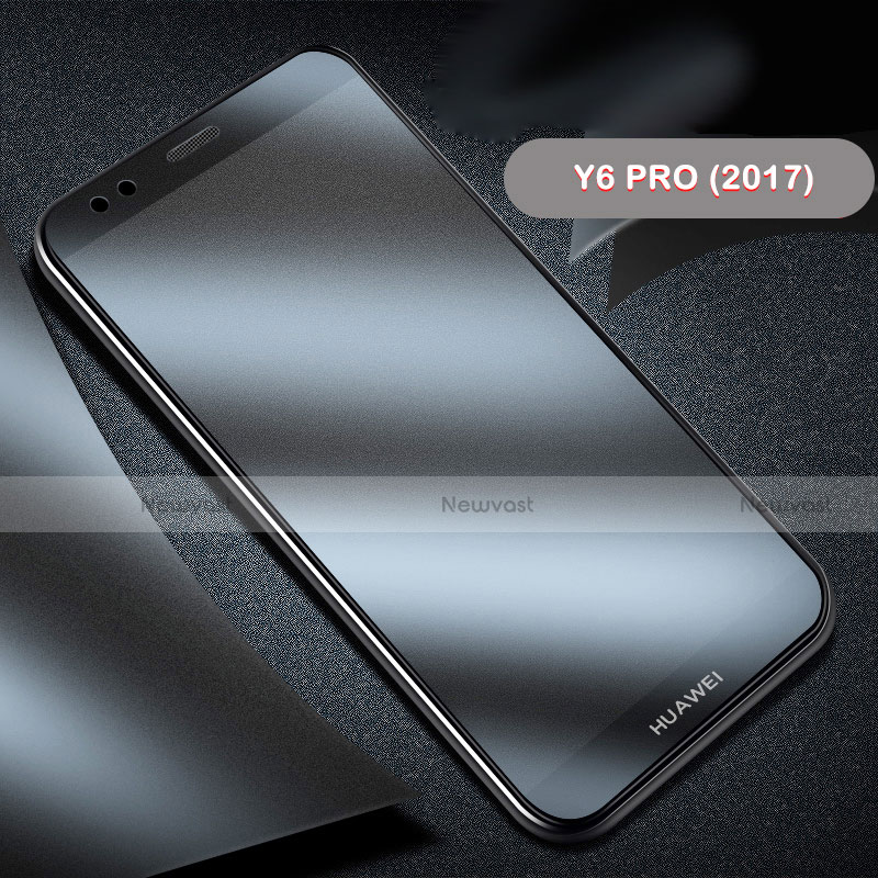 Tempered Glass Anti-Spy Screen Protector Film for Huawei Y6 Pro (2017) Clear